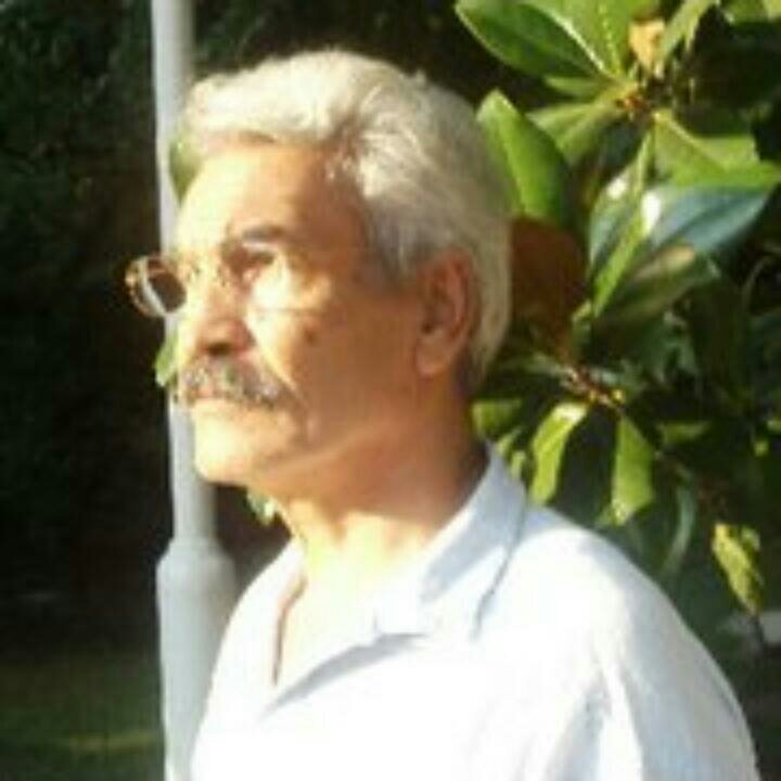 aliulusoy48's profile picture. 