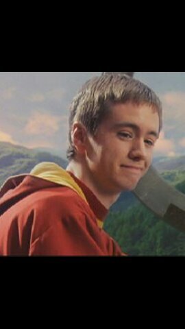 Sexto Curso. Gryffindor. Quidditch. O se gana o se gana. #PotterRunes