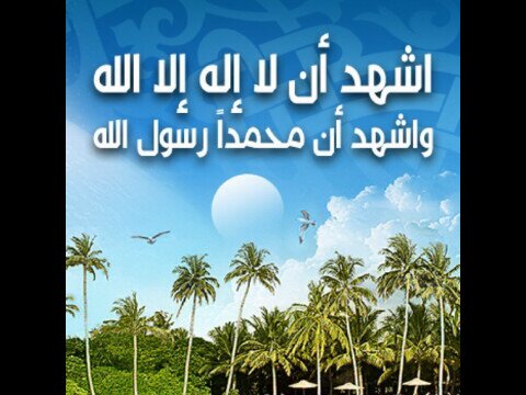 قال الرسول صلي الله عليه وسلم ﷺ: إن سبحان الله، والحمد لله، ولا إله إلا الله، والله أكبر، تَنفُضُ الخطايا كما تنفُضُ الشجرة ورقها. حسابنا الاخر@Forg_iveness