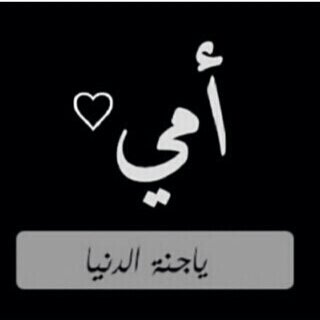PIN:25BC0385