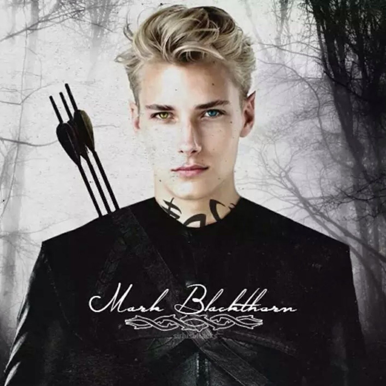 DivergentHunt's profile picture. Once the Wild Hunt has you can't go back. They keep what is theirs. But now I am able to go home to my family. An outcast in the Clave. |Single/TMI/RP|