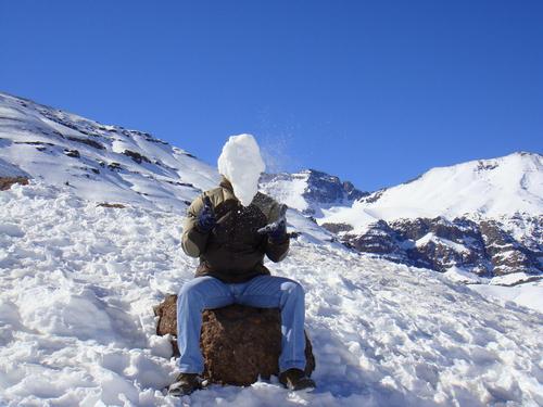 hobego's profile picture. 