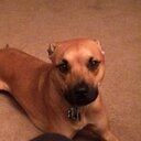 rodney alston - @ComThatboulacea - Twitter