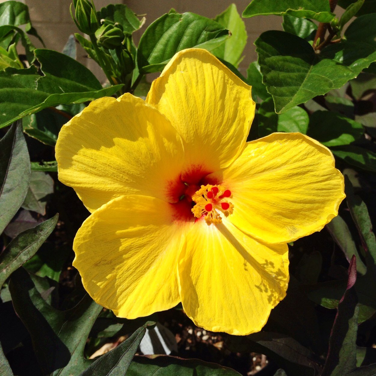 rkaymc's profile picture. #rareblendteam #scoutandcellarwine