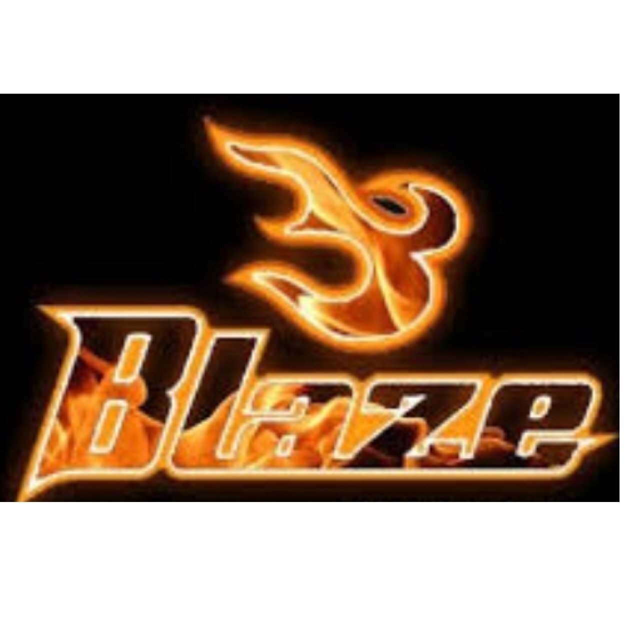 BLAZExGaming Profile
