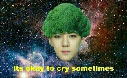 ElEcodeCrdoba's profile picture. Solo queremos amor..