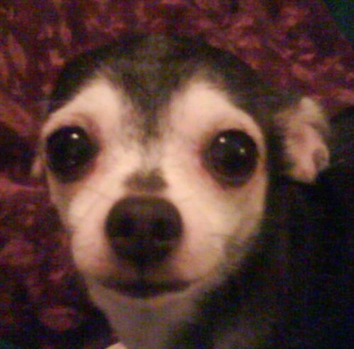 CandyIb's profile picture. How precious are your thoughts about me, O God! They are innumerable! I can't even count them: they out number the grains of sand! ps 139:17,18