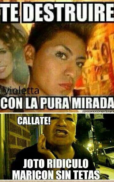 serafinecko's profile picture. 