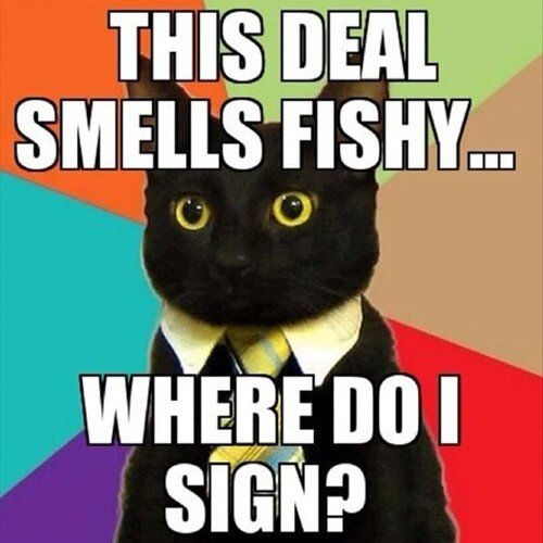 Currently at @Fairfinance, ex-City worker, interested in economics/finance , innovation for the greater good and cute little kitties.