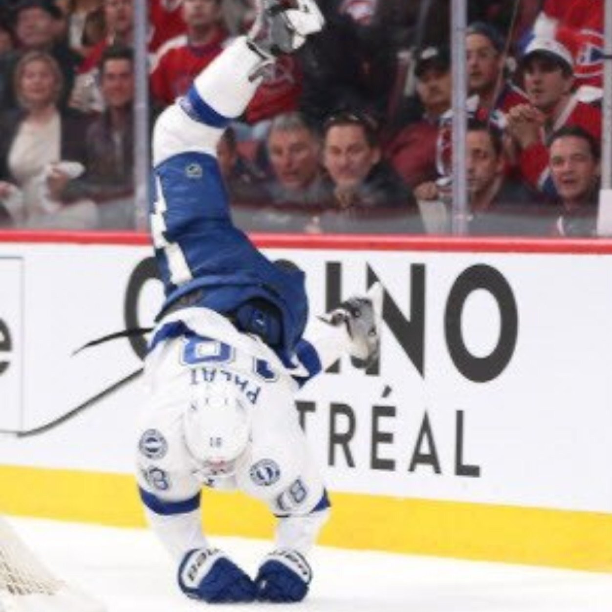 Bringing you the dumbest things Tampa Bay sports fans say! Tag @DumbTampaFans to have a dumb fan possibly featured on this page, or tweet us with a screenshot!