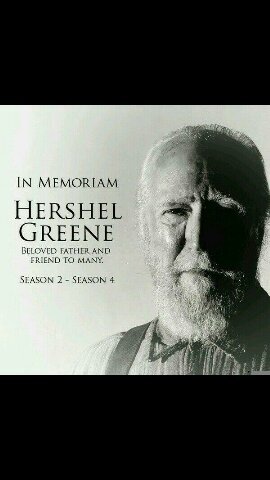 HershelGreen Profile Picture