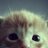 Gatitos_Bonitos's profile image