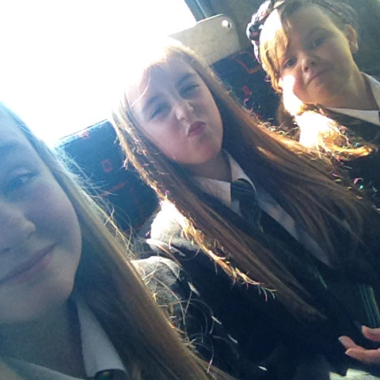 KayleMayR's profile picture. 09.06.02~Birthday 1⃣2⃣years old Bailey♥️ #teambailey