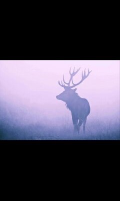 Amyhaych's profile picture. 