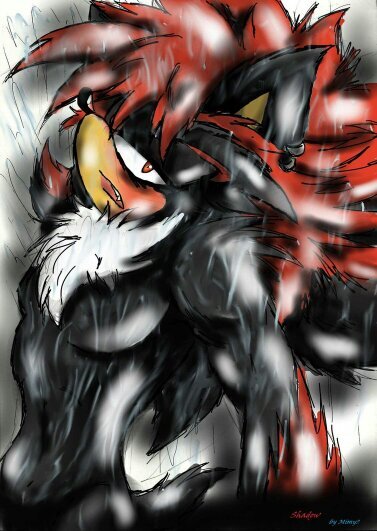 Shadow__sexy's profile picture. Hey there i'm shadow, shadow the hedgehog and I'm the most sexy hedgehog in the whole world #horny #sexy #taken