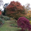 frank cui - @frankcuicn - Twitter