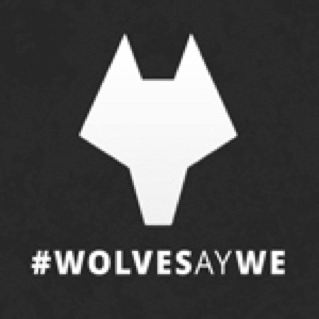 Fan page of Wolverhampton Wanderers FC, gives the latest news and gossip to Wolves Fans..