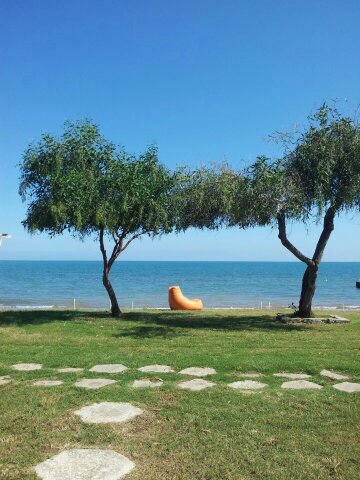 msturan72's profile picture. Mintişin anneannesi❣️
Sivas /Zara