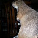 Kathy Allen - @kallenpzk - Twitter