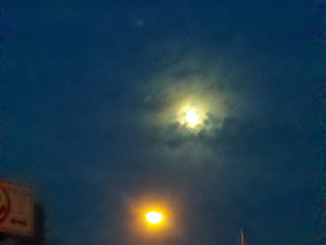 trolleyproblem's profile picture. burning the midnight lamborghini