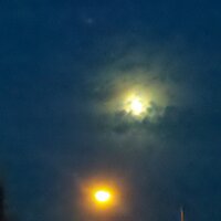 gunrack (@trolleyproblem) 's Twitter Profile