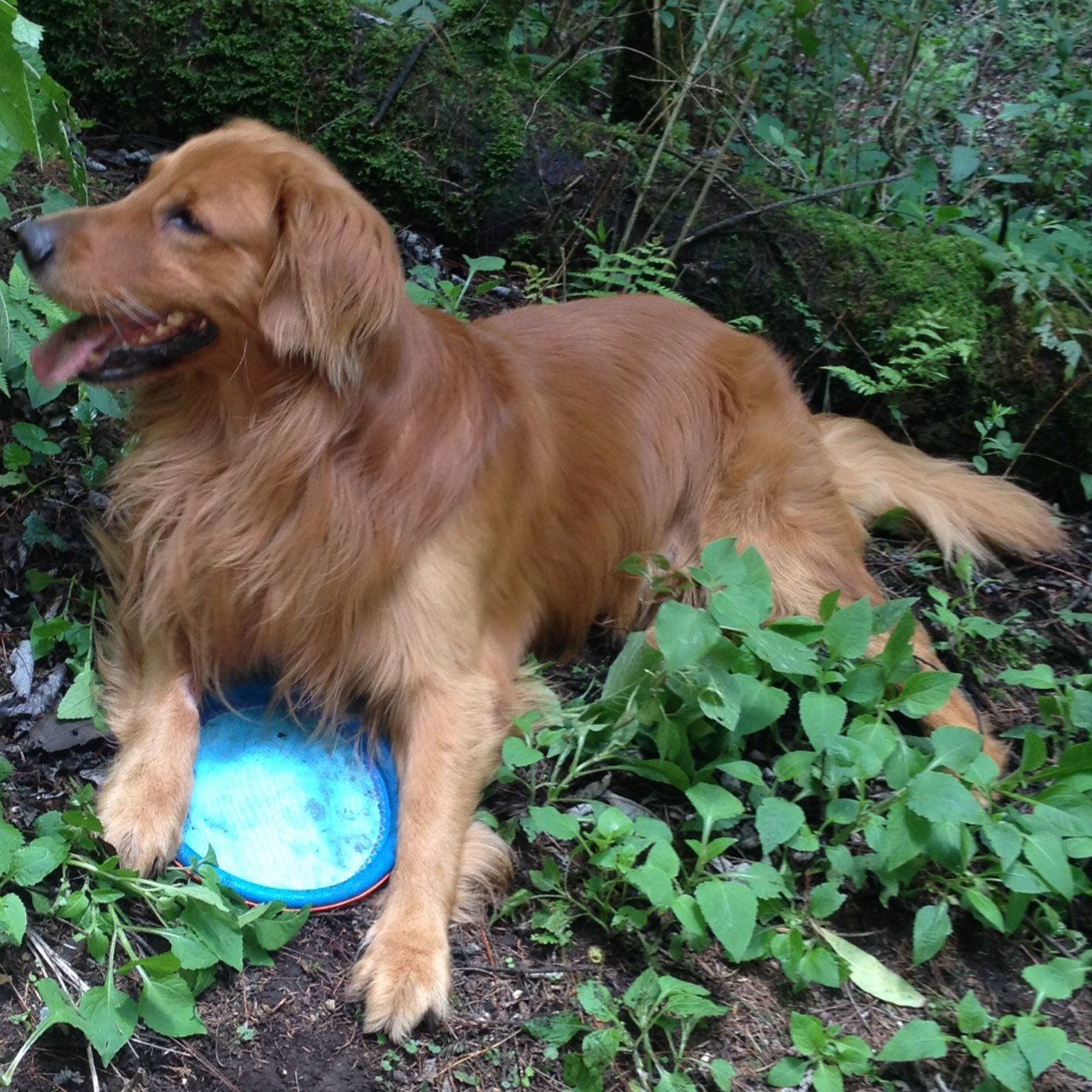 Adriagu's profile picture. 