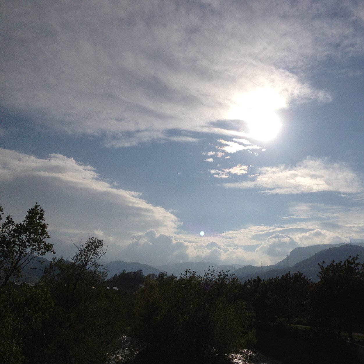 サニー のアバター