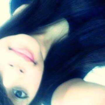 Twitter novo , Segue?