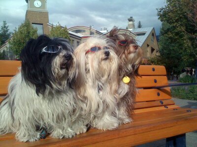 VancouverVince's profile picture. 