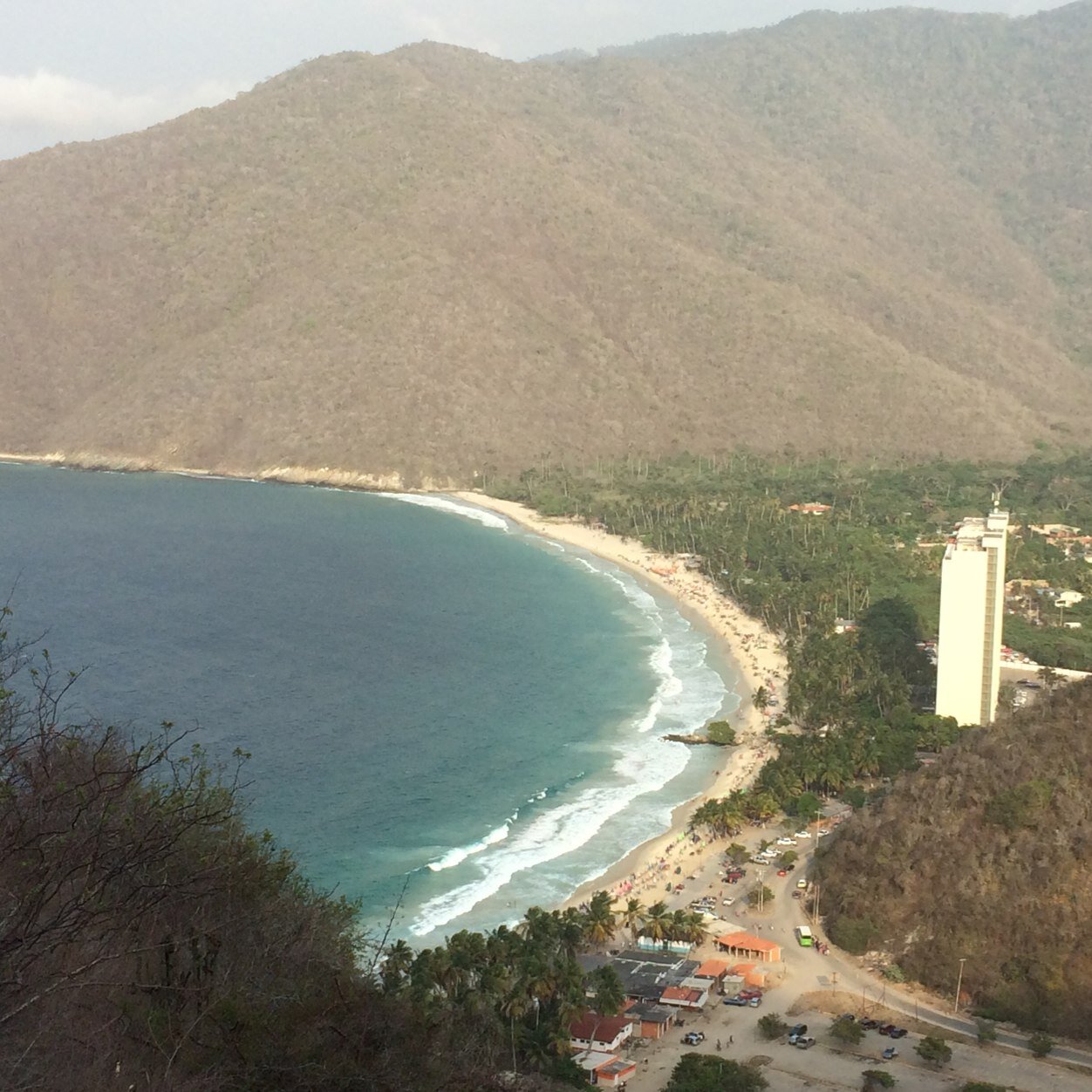 ryeisy's profile picture. 