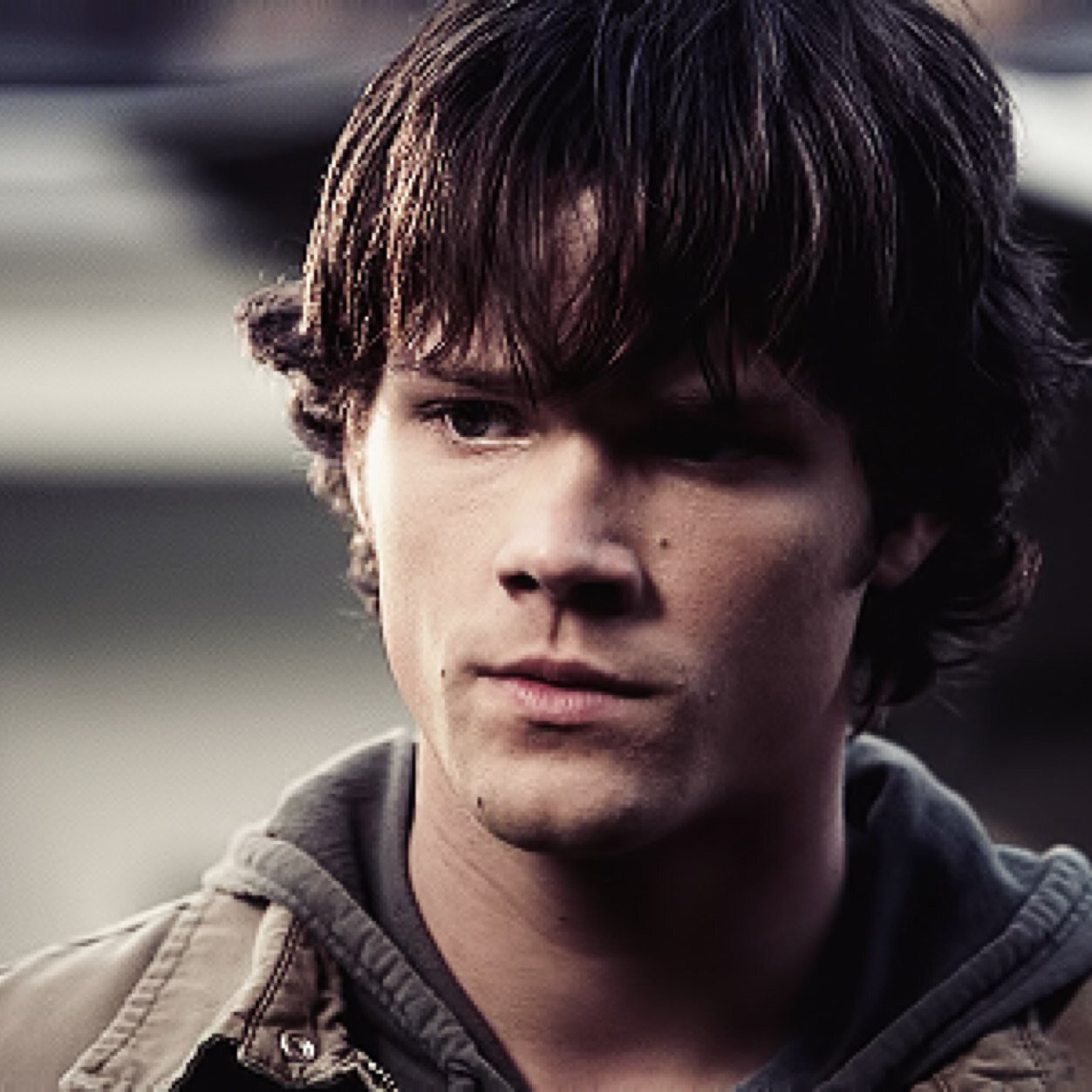 || Literate || MV || RP M+ || Bisexual || Crossovers || Allships ||