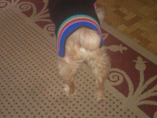 dmblannon's profile picture. 