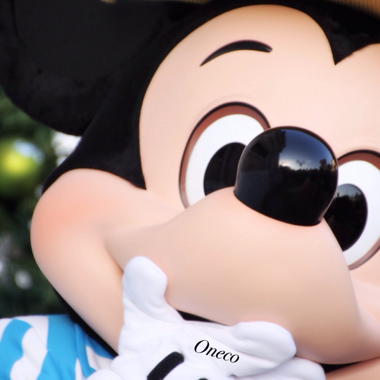 mickey/FANTASMIC!/BBB/DLR/Hawaii/iPhone6plus/canon70D/沖縄