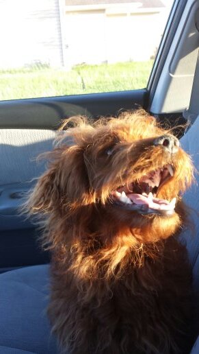 13_sheldon's profile picture. 