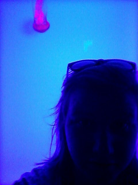 Christian, Ginger. yes, that is a jelly fish. You'd be wise not to follow me.
