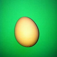 Kevin Haas (@thekevinhaas) 's Twitter Profile