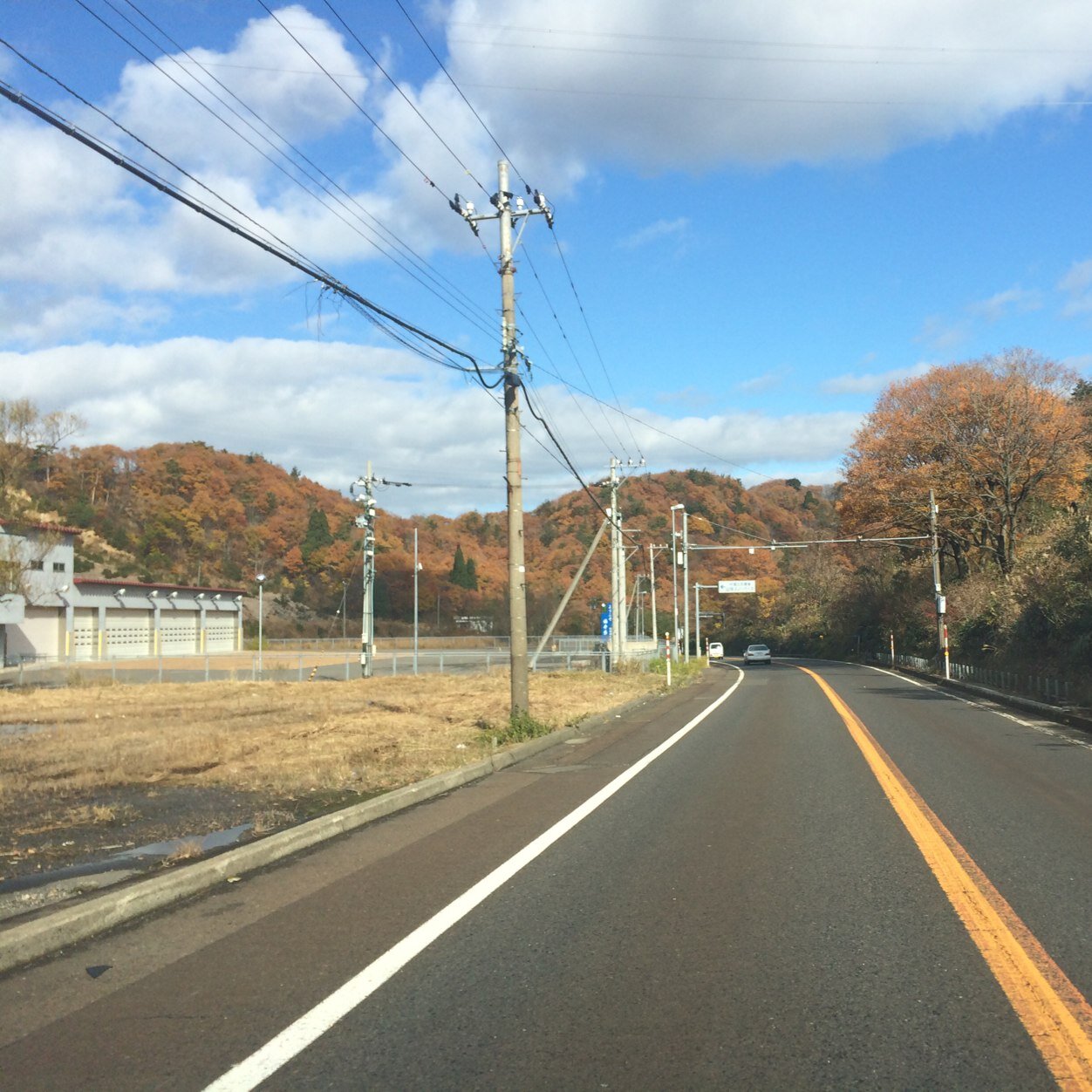 shjjtrans's profile picture. 