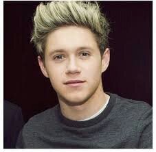 I LOVE ONE DIRECTION AND NIALL HORAN IS MY FAV