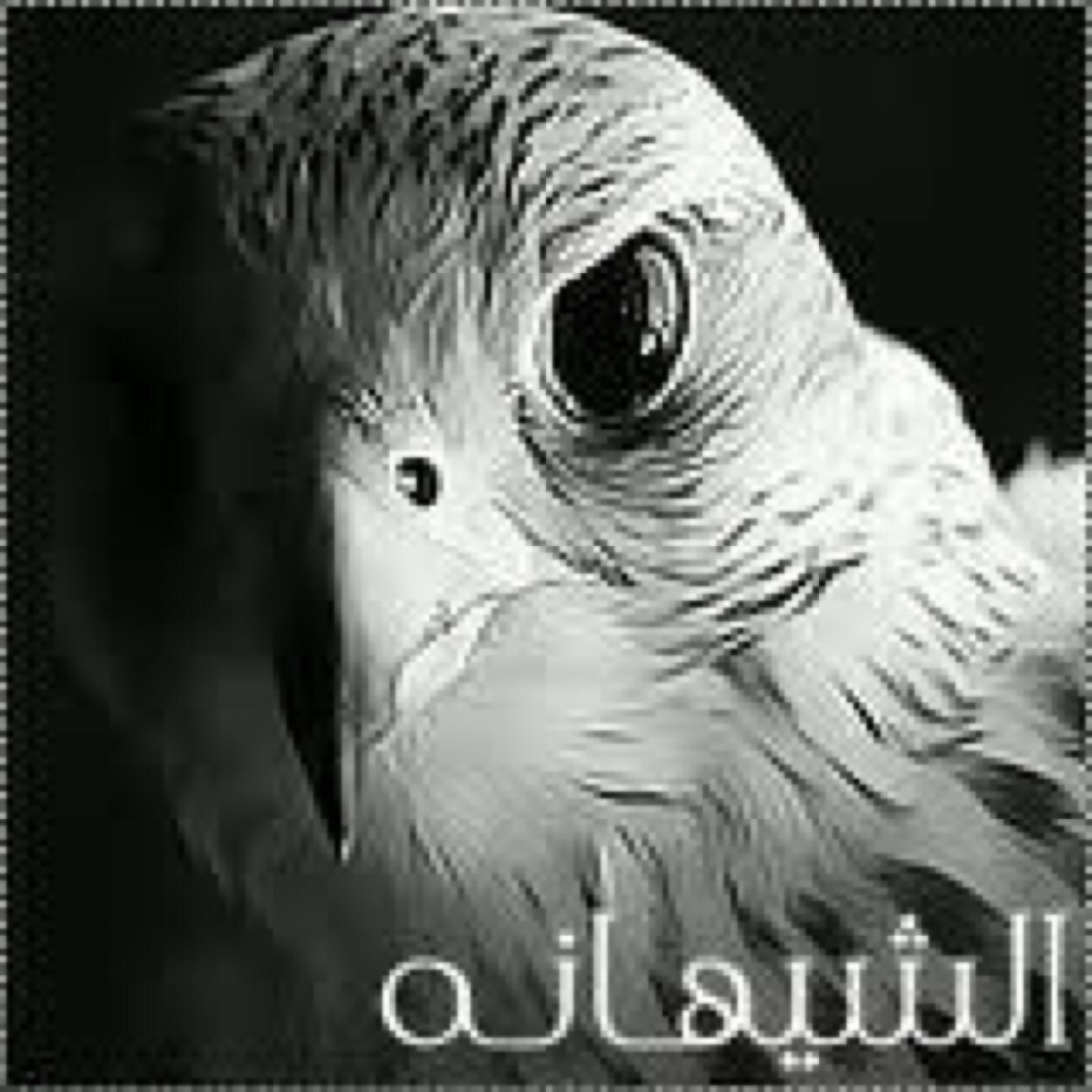 alchihanh7788's profile picture. فتاه في عقدها الاول من العشرين//احب الاستعباط والتعليق//واكره التنكيد//تحترمني احترمك//تزعلني اصيح باعلى الصوت :(//شماليه يالبى الجوف وضواحيها//رحمك الله ياقلبي