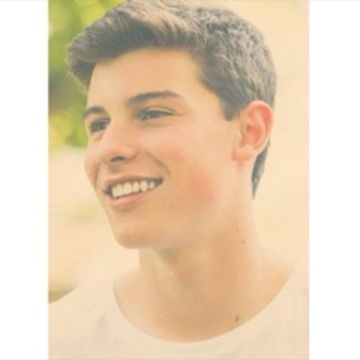 Shawn is my boyfriend therefore your opinions are invalid :-) header and avi credit to @lazyregui