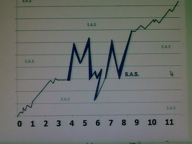 Estructurador e Integrador de Negocios Nacionales y Extranjeros. Perito programatico y económico