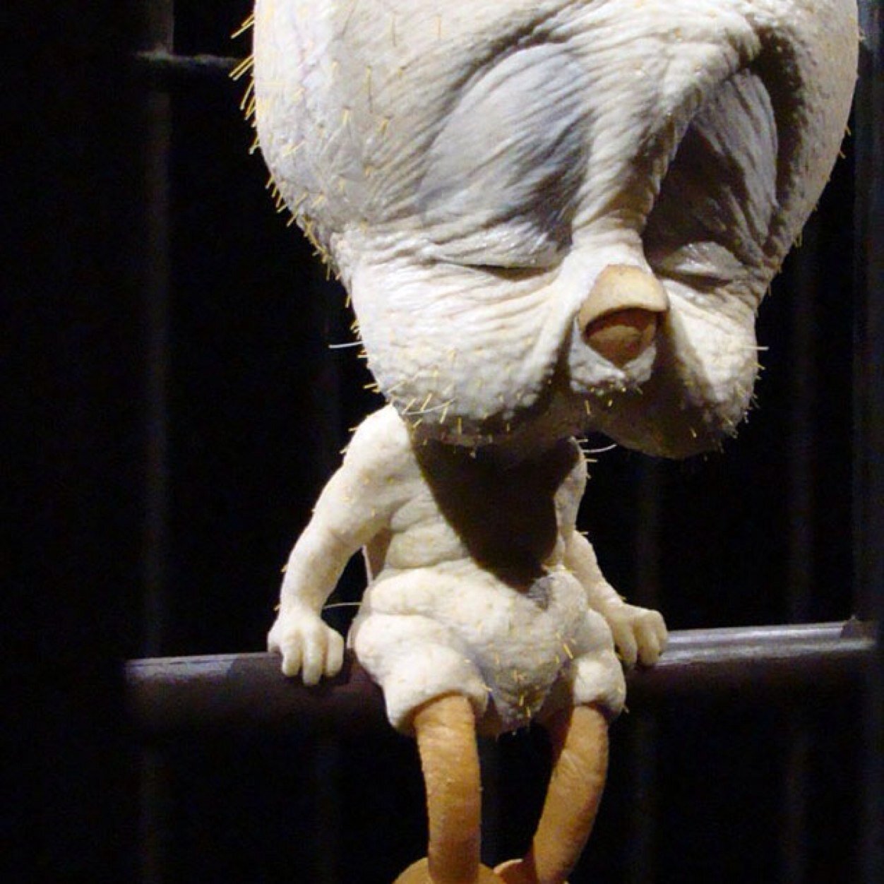 ScottScottb60's profile picture. 