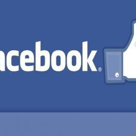 I will add INSTANT 13500 Facebook Fanpage Likes for $5