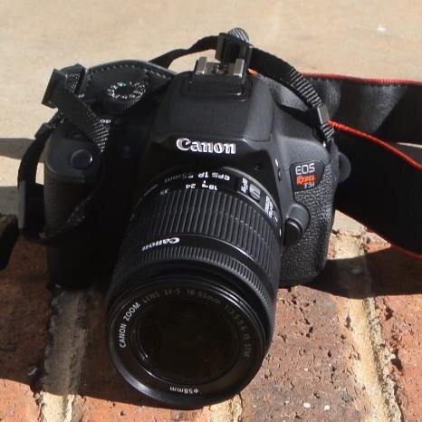 desing_alien's profile picture. 