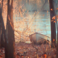 natsuko (@xm_rage) 's Twitter Profile Photo