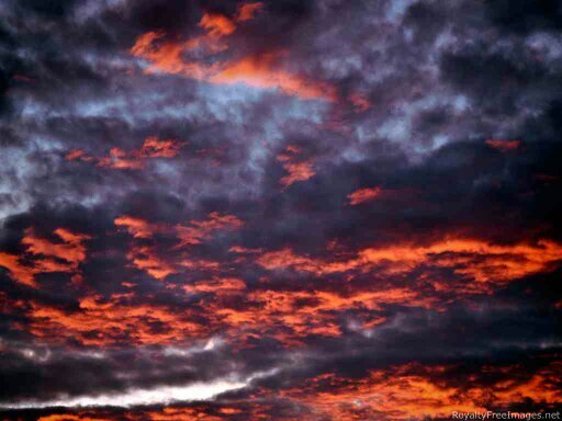 P_penguin92's profile picture. Front line NHS District Nurse, Dyslexic, views are my own, no DMs.