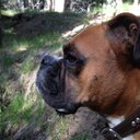 scott stice - @thescottstice - Twitter