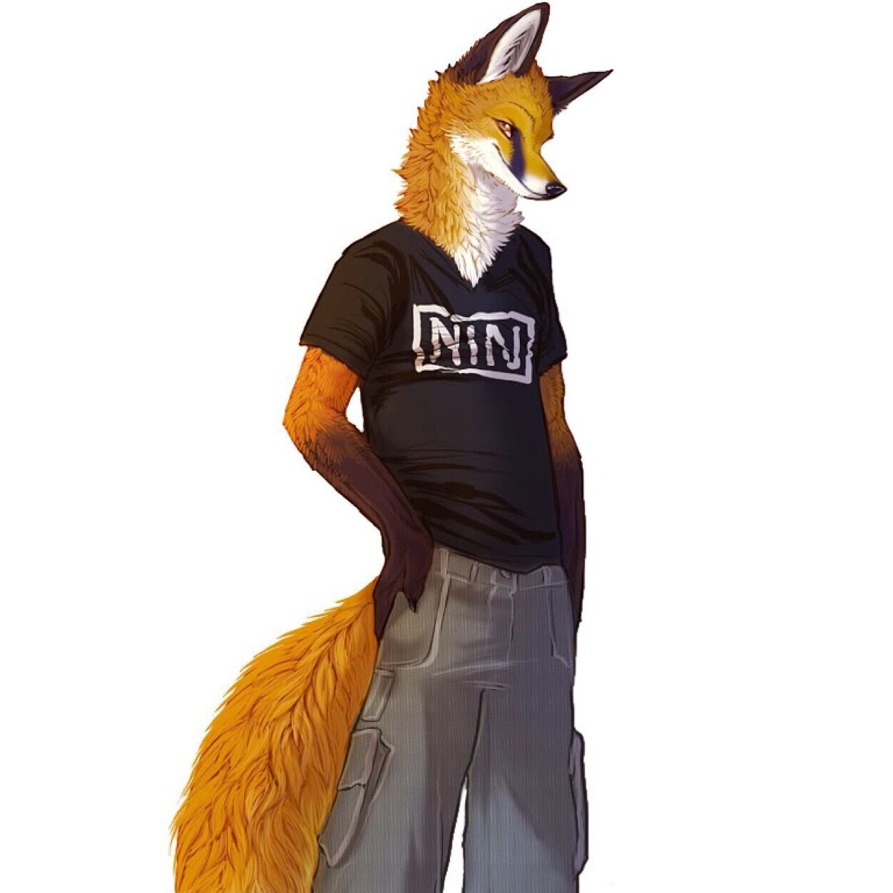 blakefoxxy's profile picture. Hai :3 i'm blake i'm a fox, i like hugs and cuddles :3. I am gay, i live in Richland Washington and i'm 14 :3 Single again...