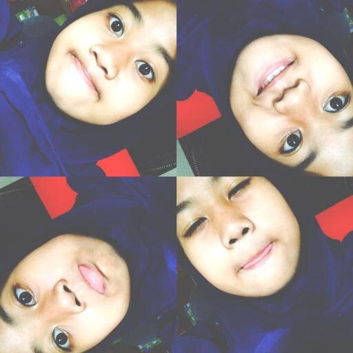 DullyScout. 255'27, Tischo'8.