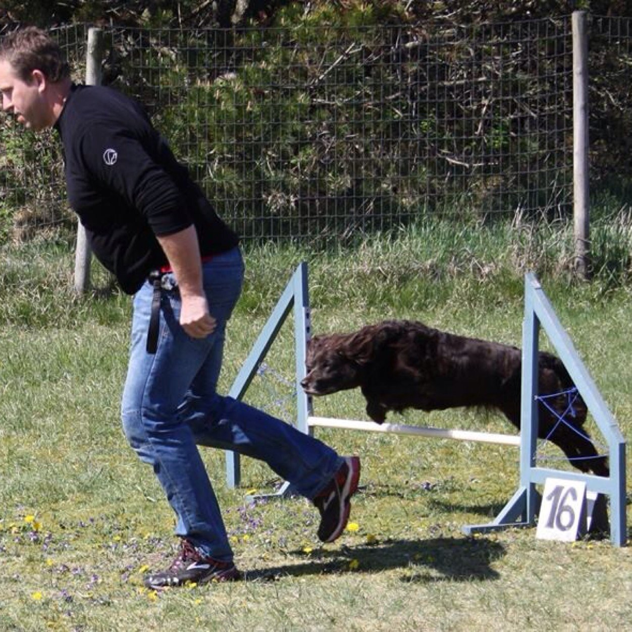 marchillen2's profile picture. 